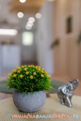 Royal Holiday 2 apartman 