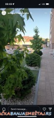 TRIFUN apartmani