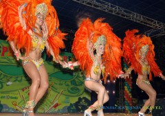 Vrnjački Karneval od 13.-20. jula 2014.