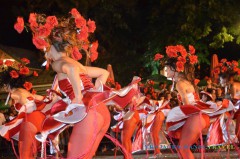 Vrnjački Karneval od 13.-20. jula 2014.